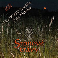 Vojta Kiďák Tomáško & Ríša Melichar – Srpnové trávy MP3
