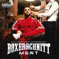 Mert – Boxerschnitt