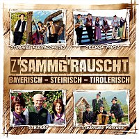 Strassner Pascher, Stubaier Freitagsmusig, SteiBay, Seehof Musi – z'sammg'rauscht / bayerisch - steirisch - tirolerisch