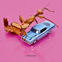 Přední strana obalu CD Verwaltzen