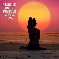 Různí interpreti – Electronic Ambient Music for a Yoga Class