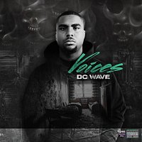 Přední strana obalu CD Voices