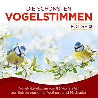 Naturklang – Die schönsten Vogelstimmen - Vogelgezwitscher von 83 Vogelarten zur Entspannung, für Wellness und Meditation - Der Klang aus der Natur - Folge 2