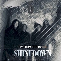 Shinedown – Fly From The Inside