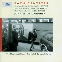 English Baroque Soloists, John Eliot Gardiner – J.S. Bach: Cantatas for the 11th Sunday after Trinity