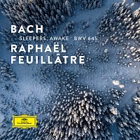 Raphael Feuillatre – J.S. Bach: Sleepers, Awake, BWV 645 (Transcr. for Guitar)