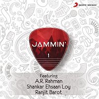 Various  Artists – Jammin', 1