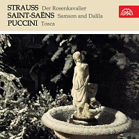 Různí interpreti – Strauss: Růžový kavalír - Saint-Saëns: Samson a Dalila - Puccini: Tosca MP3