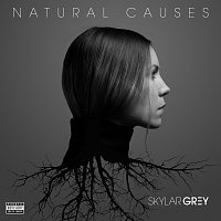 Skylar Grey – Natural Causes