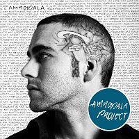 Amygdalaproject – Amygdala