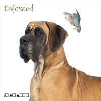 Přední strana obalu CD Enforced