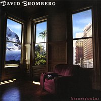 David Bromberg – Long Way From Here