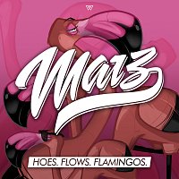 Přední strana obalu CD Hoes. Flows. Flamingos.