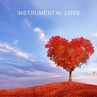 Přední strana obalu CD Instrumental Love