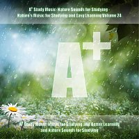 A+ Study Music: Music for Studying and Better Learning and Nature Sounds for Studying – A+ Study Music: Nature Sounds for Studying - Nature's Music for Studying and Easy Learning, Vol. 24