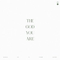 Patrick Mayberry, Blake Wiggins, Worship Together – The God You Are [Live]