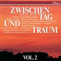 Různí interpreti – Zwischen Tag Und Traum Vol.2