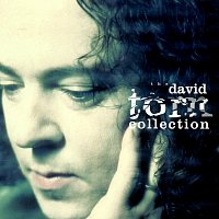 Různí interpreti – The David Torn Collection