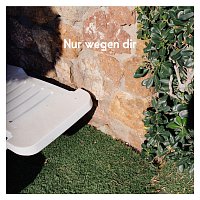 AnnenMayKantereit – Nur wegen dir