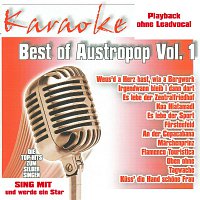 Karaokefun.cc VA – Best of Austropop Vol.1 - Karaoke