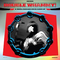 Různí interpreti – Double Whammy! A 1960s Garage Rock Rave-Up