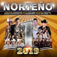 Přední strana obalu CD Norteno #1's 2019
