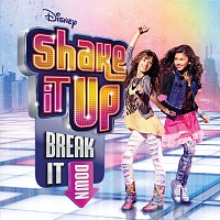 Různí interpreti – Shake It Up: Break It Down