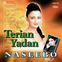 Naseebo Lal – Terian Yadan, Vol. 7