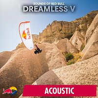 Přední strana obalu CD Dreamless V