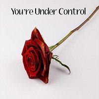 Přední strana obalu CD You’re Under Control