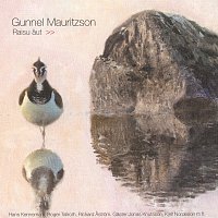 Gunnel Mauritzson – Raisu aut