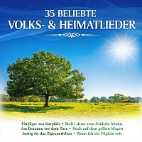 Přední strana obalu CD 35 beliebte Volks- & Heimatlieder