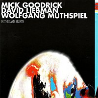 Mick Goodrick, David Liebman, Wolfgang Muthspiel – In the Same Breath