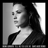 Tell Me You Love Me [Dave Audé Remix]