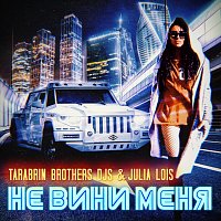 Julia Lois, Tarabrin Brothers DJs – Не вини меня