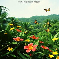 Rico – Fiesta