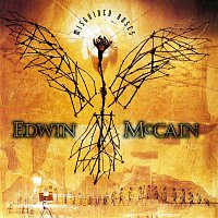 Edwin McCain – Misguided Roses