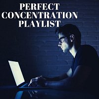 Různí interpreti – Perfect Concentration Playlist