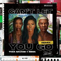 Can't Let You Go [Remix]