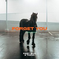 FAST BOY, Topic – Forget You