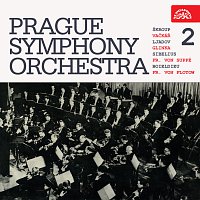 Symfonický orchestr hl. m. Prahy FOK – Prague Symphony Orchestra 2