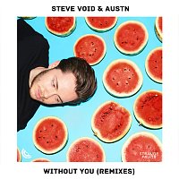 Steve Void, AUSTN – Without You [Remixes]