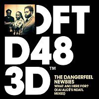 The DangerFeel Newbies – What Am I Here For? (Kai Alcé's NDATL Remixes)