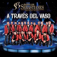 Banda Los Sebastianes De Saúl Plata – A Través Del Vaso