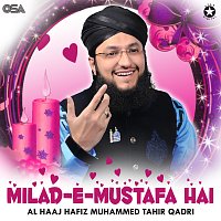 Al Haaj Hafiz Muhammad Tahir Qadri – Milad-e-Mustafa Hai