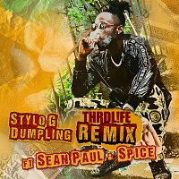 Stylo G, Sean Paul, Spice – Dumpling [THRDL!FE Remix]