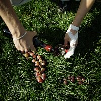 Přední strana obalu CD ZERSPLITTER DEIN GLAS