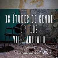 18 Études de genre, OP. 109: VIII. Agitato