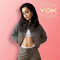 Přední strana obalu CD YOK