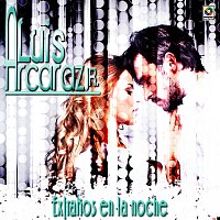 Luis Arcaráz Jr. – Extranos En La Noche